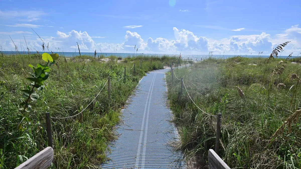A sandy path threading through sea grapes toward the water