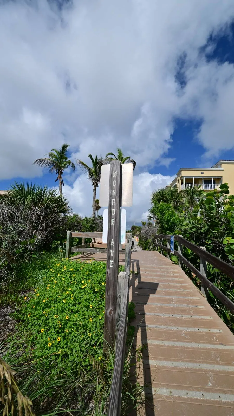 A boardwalk path threading through palms toward the beach