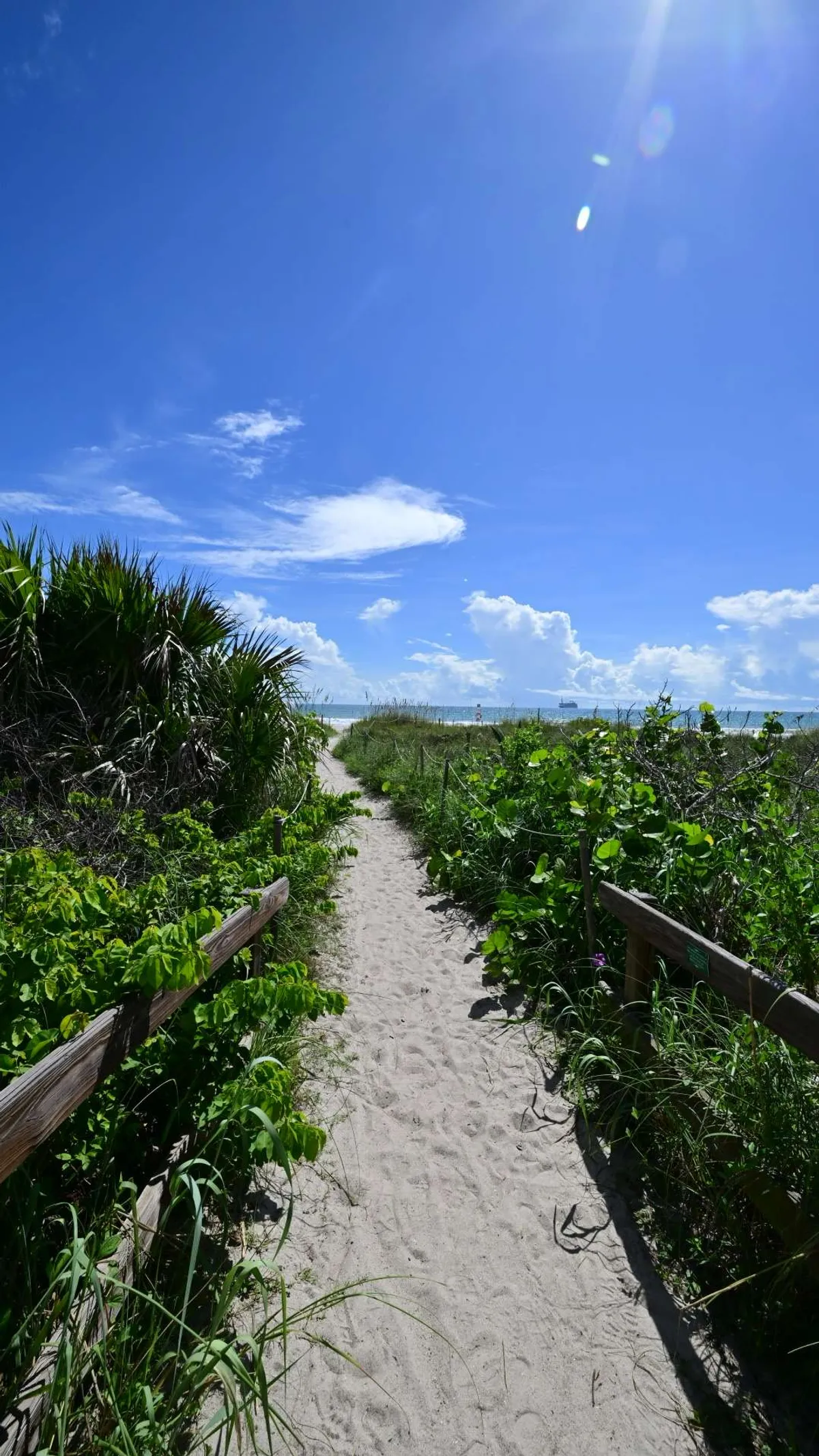 Dune path opening onto the Atlantic